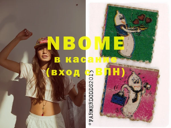 молекула духа Снежногорск