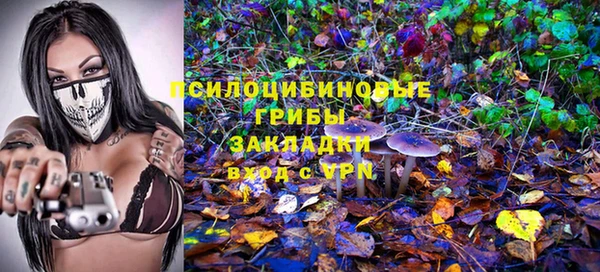гидра Верея